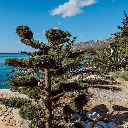 9 Bedroom Awesome In Starigrad Σπίτι διακοπών Stari Grad (Hvar)